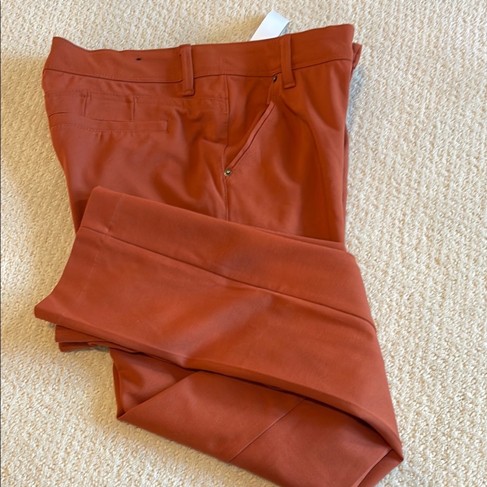 Stitch Fix Brown Slim Fit Trousers with Autumnal Hue